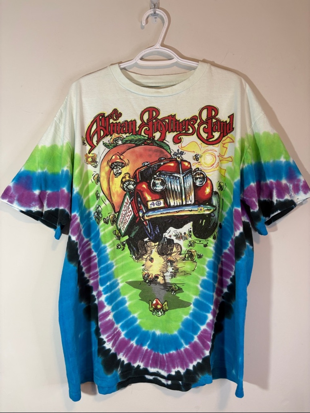 Vintage Allman Brothers Band Tie Dye Mushroom Express Psychedelic Graphic Tee
